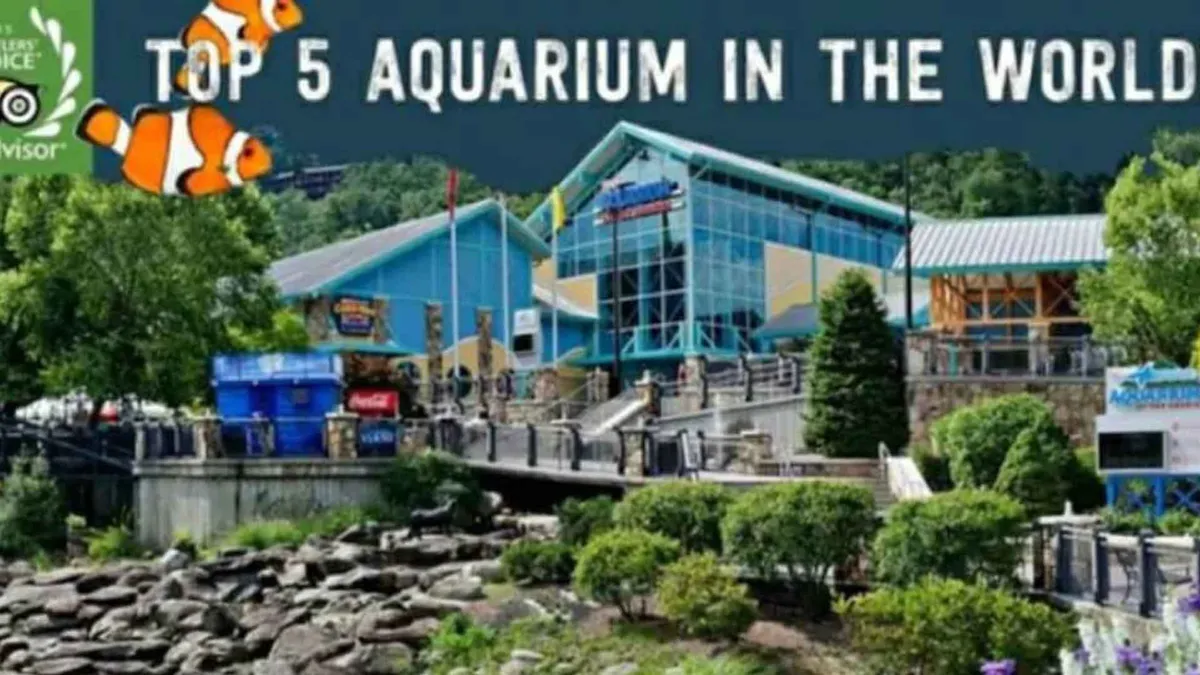 An exterior shot of the Ripley’s Aquarium of the Smokies, with its distinct modern building set among greenery. Visitors can be seen approaching the entrance, hinting at the exciting marine life and interactive family experiences inside.