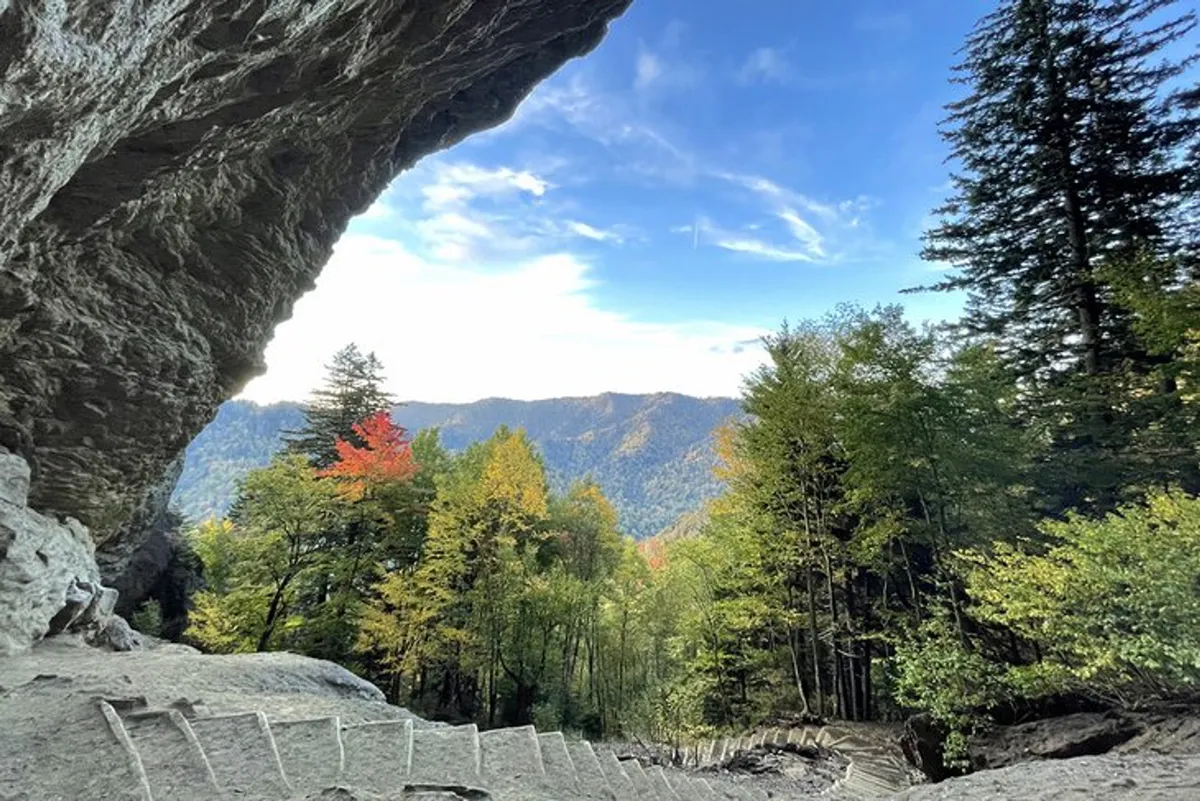 A sweeping view of a dramatic rock formation framed by lush trees, with the impressive Smoky Mountains stretching into the distance beneath a soft sky. The natural landscape evokes the grandeur and wildness of the national park just moments away.